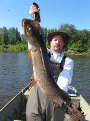 /images/bigpike_187x250.jpg